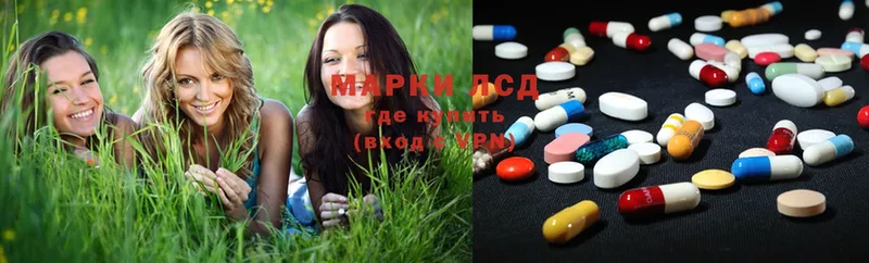 Лсд 25 экстази ecstasy  где купить   Новоузенск 